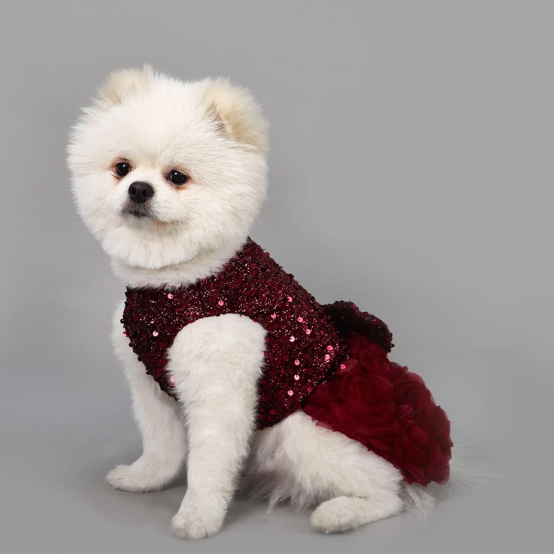 

Elegant Pet Dress for Dogs & Cats - Sleeveless Sequin Mesh with Rose Decor & Waist Bowknot, Perfect for Gifts & Party Occasions XS（old） винный