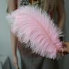 Ostrich Feathers 30-35Cm Wedding Road Guide Table Flower Ornament Ostrich Hair Decorative Clothing Accessories Diy