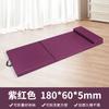 Foldable Office Nap Floor Mattress