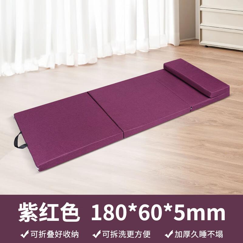Foldable Office Nap Floor Mattress