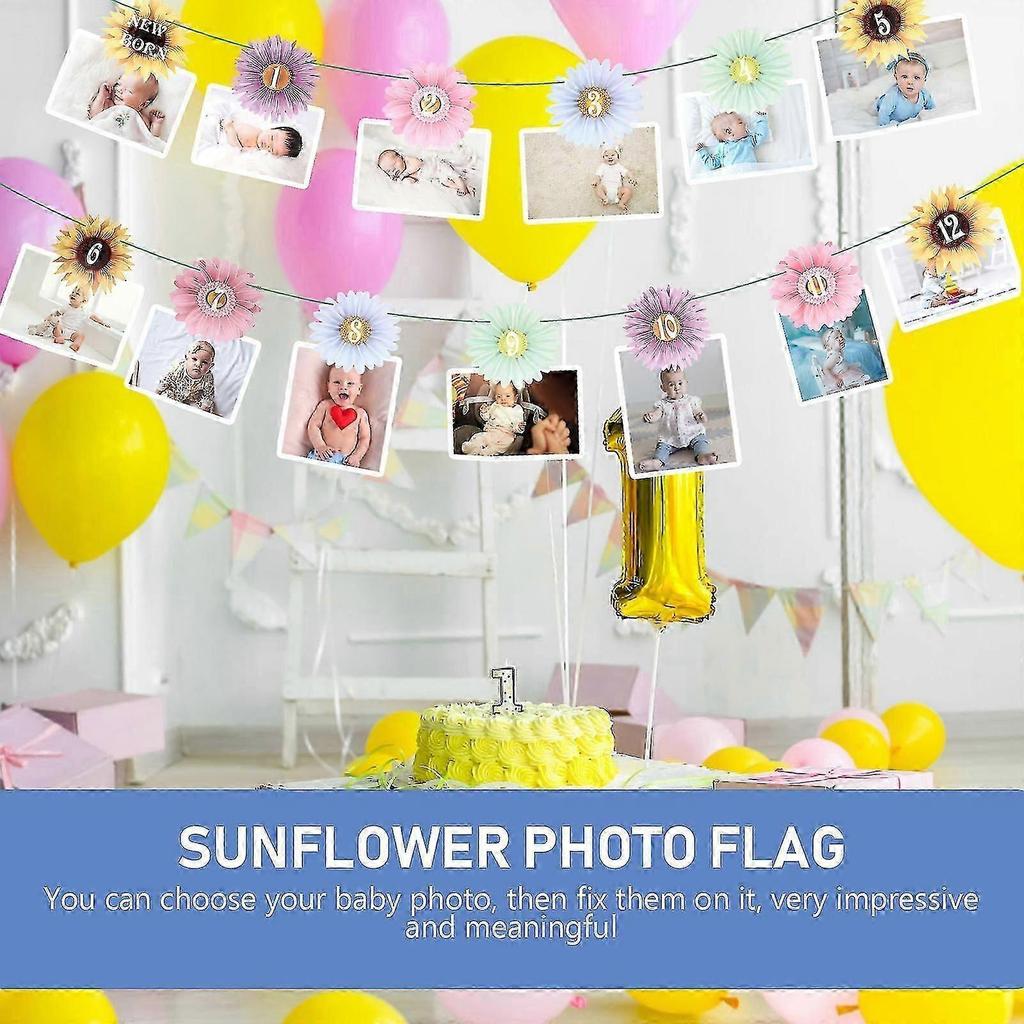 Baby Decor Hanging Photo Garland 1st Birthday Milestone Banner Picture Collage Banner Kid Milestone Picture Banner