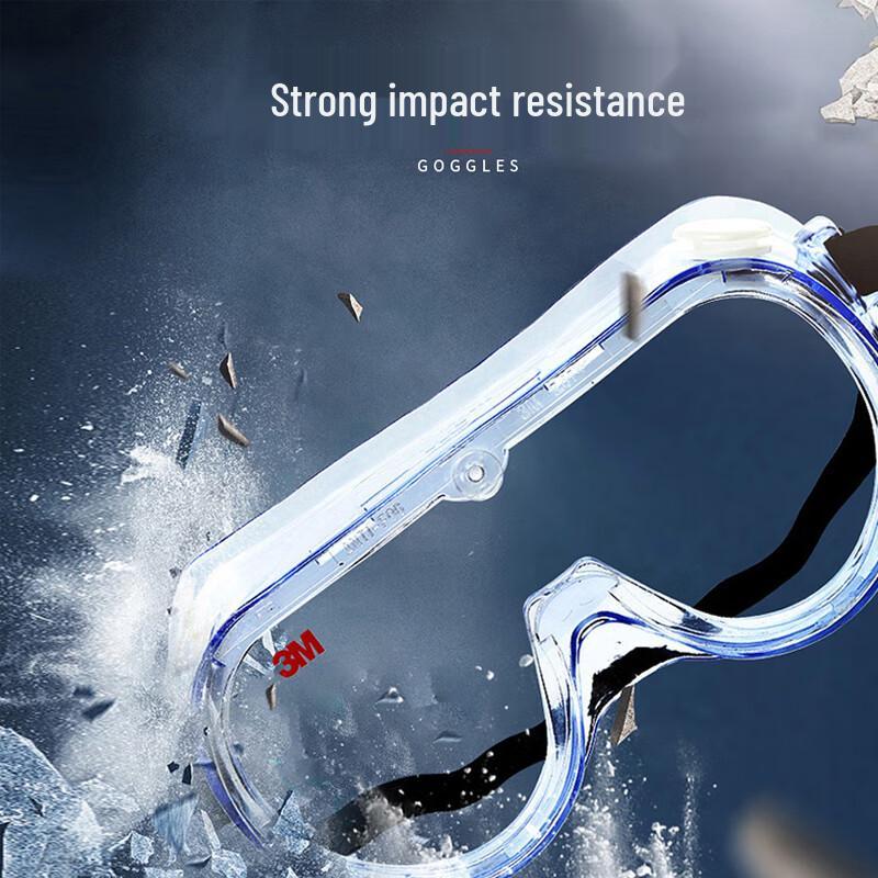 3M 1621 Safety Goggles
