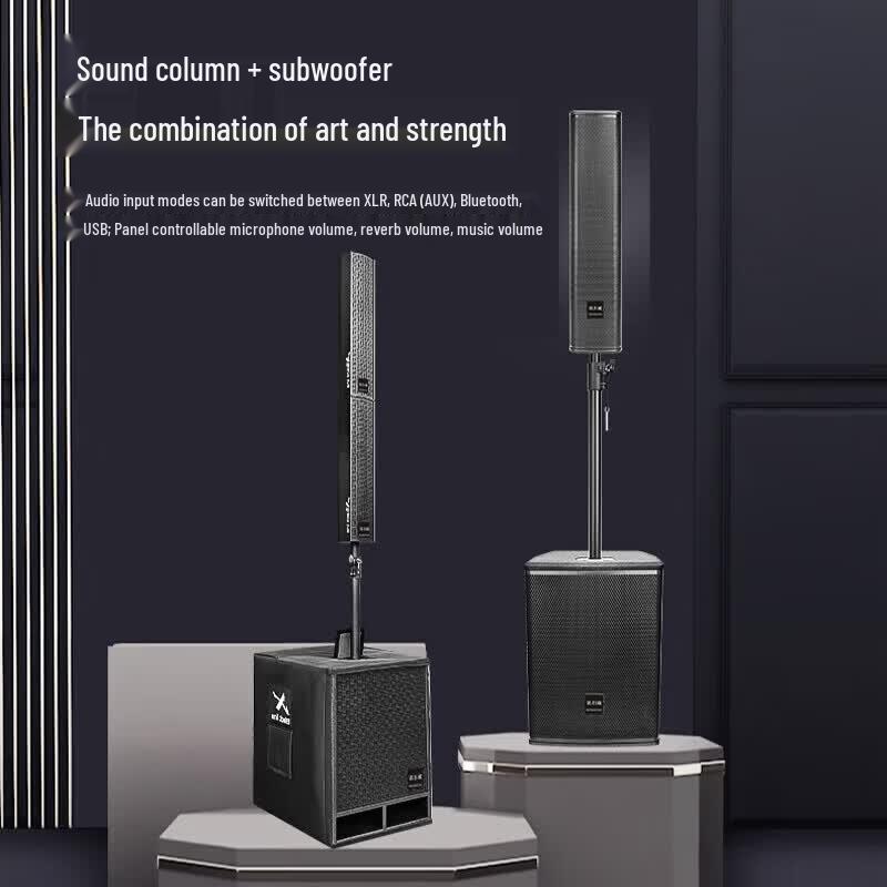 Xun Er Wei Professional Conference & Stage Audio Systems (CN Version)