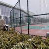 PVC Coated Chain Link Sports Field Fence Net