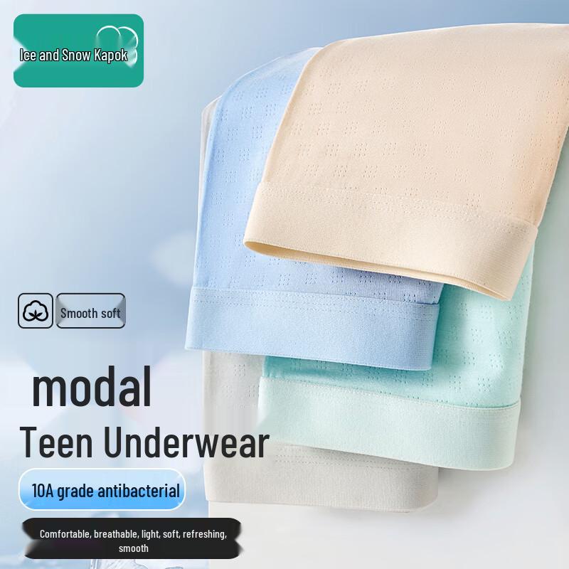 Ice Snow Kapok Modal Cool Feel Boxer Briefs for Teen Boys 3XL