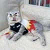 Demon Slayer Pet Cosplay Rengoku Kyoujurou ubrania dla kota nieograniczony pociąg COS płomień filar Rengoku Kyoujurou sukienki