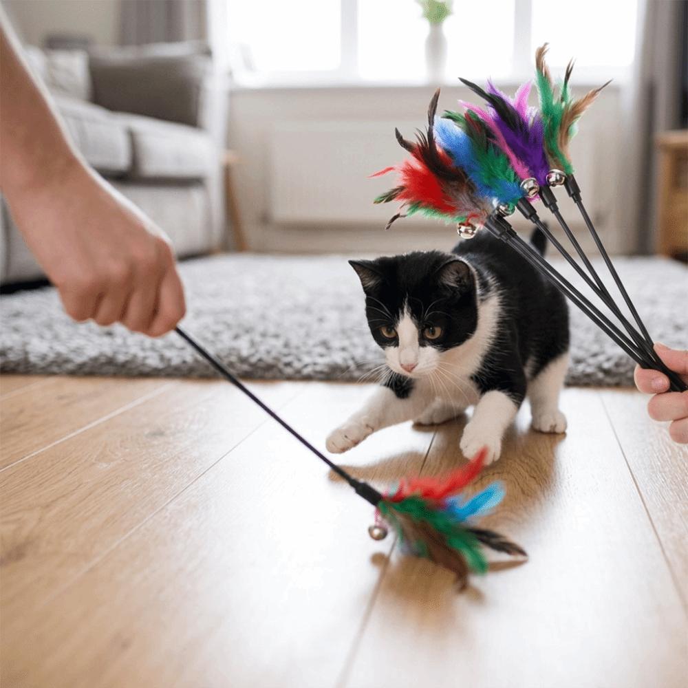 5 pcs Short Pole Cat Teaser Wand Colorful Feather Black Rod Cat Interactive Wand Built In Bell Cat Wand Toy Set Indoor Cat Play