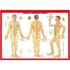 Dreieckiger Holzfußmassagestab für Akupressur-Therapie und Gua Sha