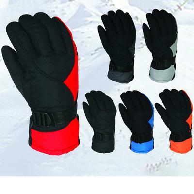 Alpine skiën en snowboarden – Skihandschoenen