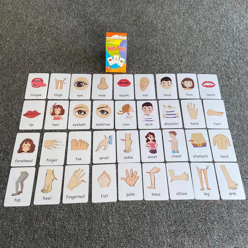 Non-Toxic Children'S Early Physical Cognition English Word Education Card Animal Fruits Flashcards Montessori Baby Kids Early Educational