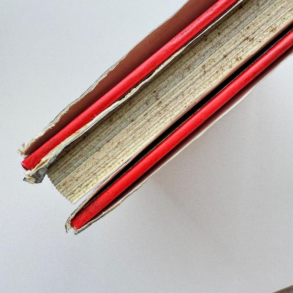 [USED] CHINA STYLE by Sharon Leece Chinese interior photography collection