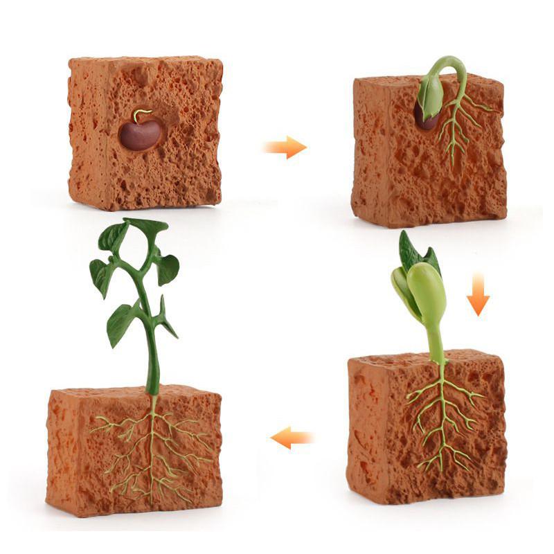 Enchanting Simulation Solid Turtle Chick Frog Animal Growth Cycle Montessori Teaching Aids For Unique Gifts And Decorative Accents