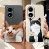 Coque pour Honor X5 Plus WOD-LX1 Coque Colorée Style Bonbon antichoc pour Honor X5 X5Plus HonorX5 VNA-LX2 Coques Souples