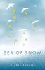 The Sea of Snow Book