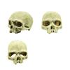 High Simulation Aquarium Decorative Skull Design Resin Skeleton Fish Tank Landscape  Fish Tank