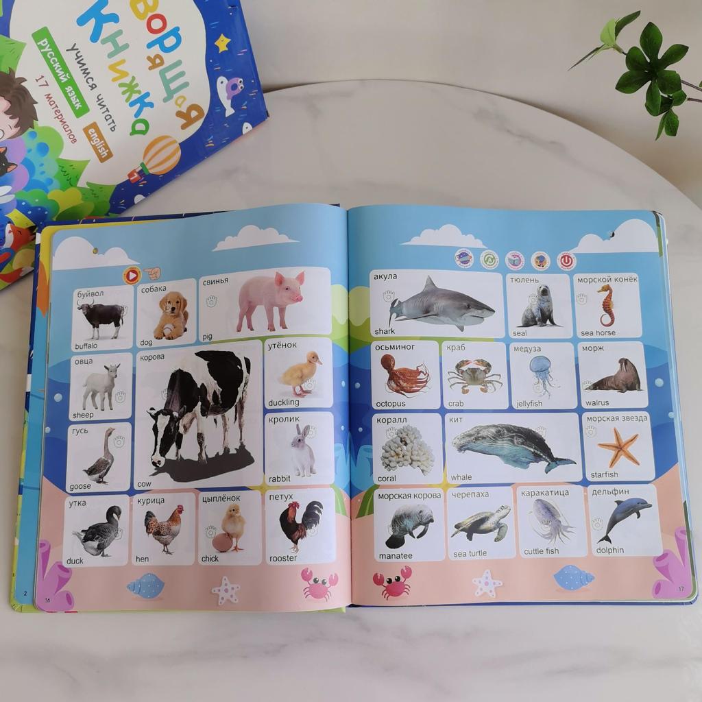OZON Russian Talking Educational Sound Book: Rechargeable Model