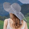 Hodeplagg – Sommerhatter mot solen
