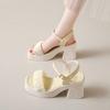 High-heeled sandals for women's summer new versatile thick-heeled Mary Jane fashion shoes for women with skirts