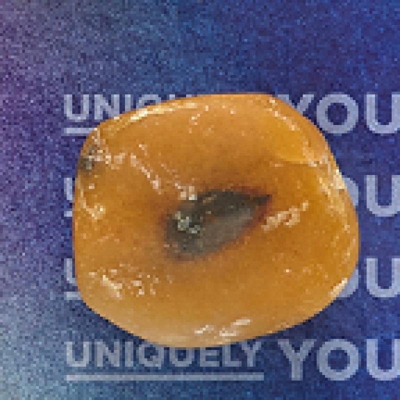 Crocs Marvel Rock Set Of 5 10013720