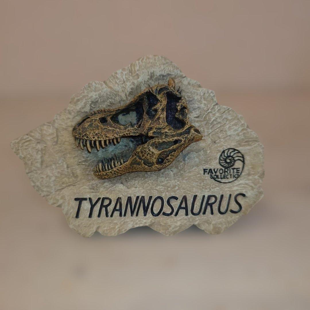 

[Б/У] Любимая Коллекция Модель Ископаемого Черепа Тираннозавра