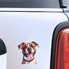 Adesivo per Auto Amante Cane Boxer Tedesco Decalcomania in Vinile Impermeabile Finestrino Posteriore Moto Camper Paraurti Camion Decorazione Laptop Y18