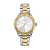 Fossil DAYLE BQ3888 Women's Silver & Gold Watch