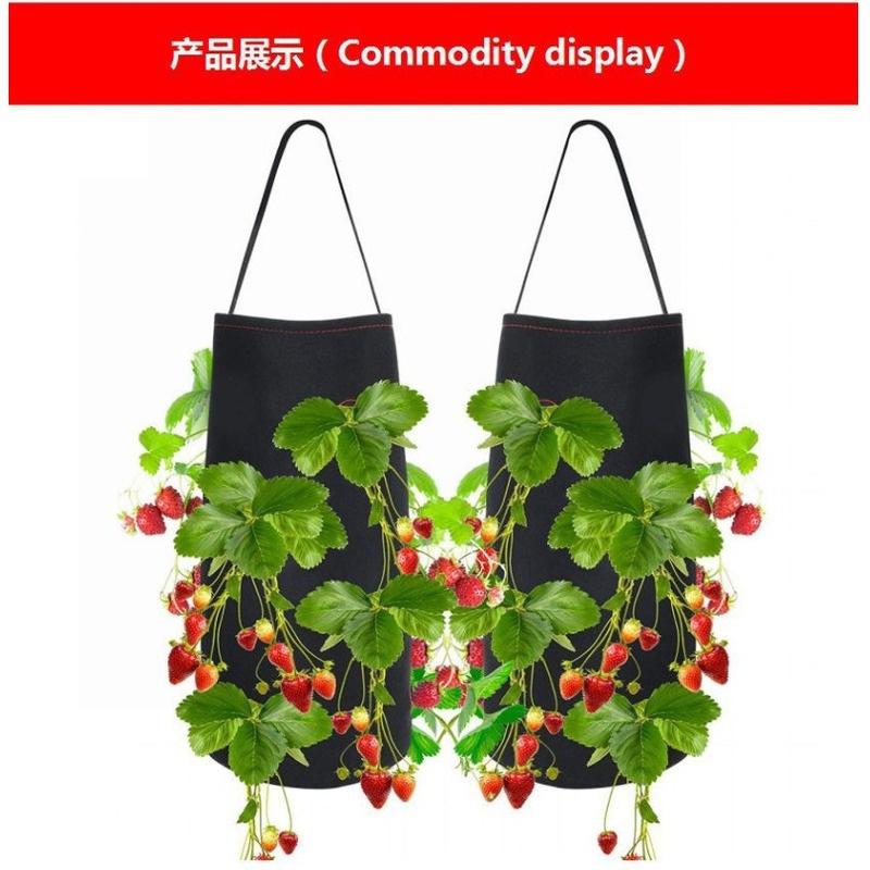 Filz-Nadeln Erdbeer-Beutel 11 Poren Erdbeer-Kartoffel Hängende Pflanztöpfe Filztasche