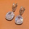 2026 New Light Luxury Style High-end Zircon Earrings with European and American Design, Elegant Geometric Zircon Accessories