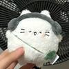 Cute Plush Cat Keychain Headphones Cat Doll Charm Bag Pendant Couple Gifts Kids Backpack Decoration Cartoon Animal Toy Accessory