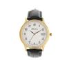 Watch Adriatica A8000.1223Q