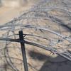 Simulated Training Concertina Wire Roll