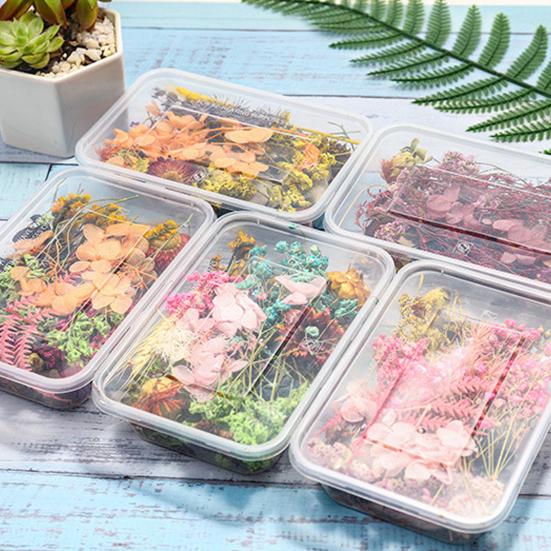 Artă populară Floare uscată Moale Vii Estetică