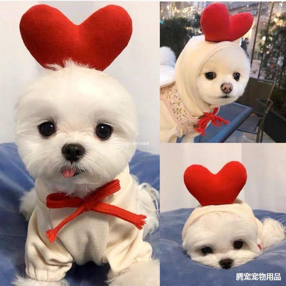 Frucht Verwandlung Hund Katze Klein Mittelgroß Großer Hund Herbst und Winter Pullover Fleece Kleidung Zubehör Haustier Teddy Dou