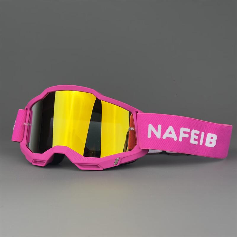 Lishi N254 Motorcycle Riding Goggles
