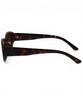 Adije Izelle (Leopard-Brown) Rv1049 Men'S & Women'S Sunglasses Uv Protection