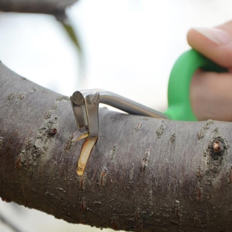 Durable Stainless Steel Rings Barking Cutter Girdling Scissor for Fruit Tree Ideal for Farmers Garden Enthusiasts