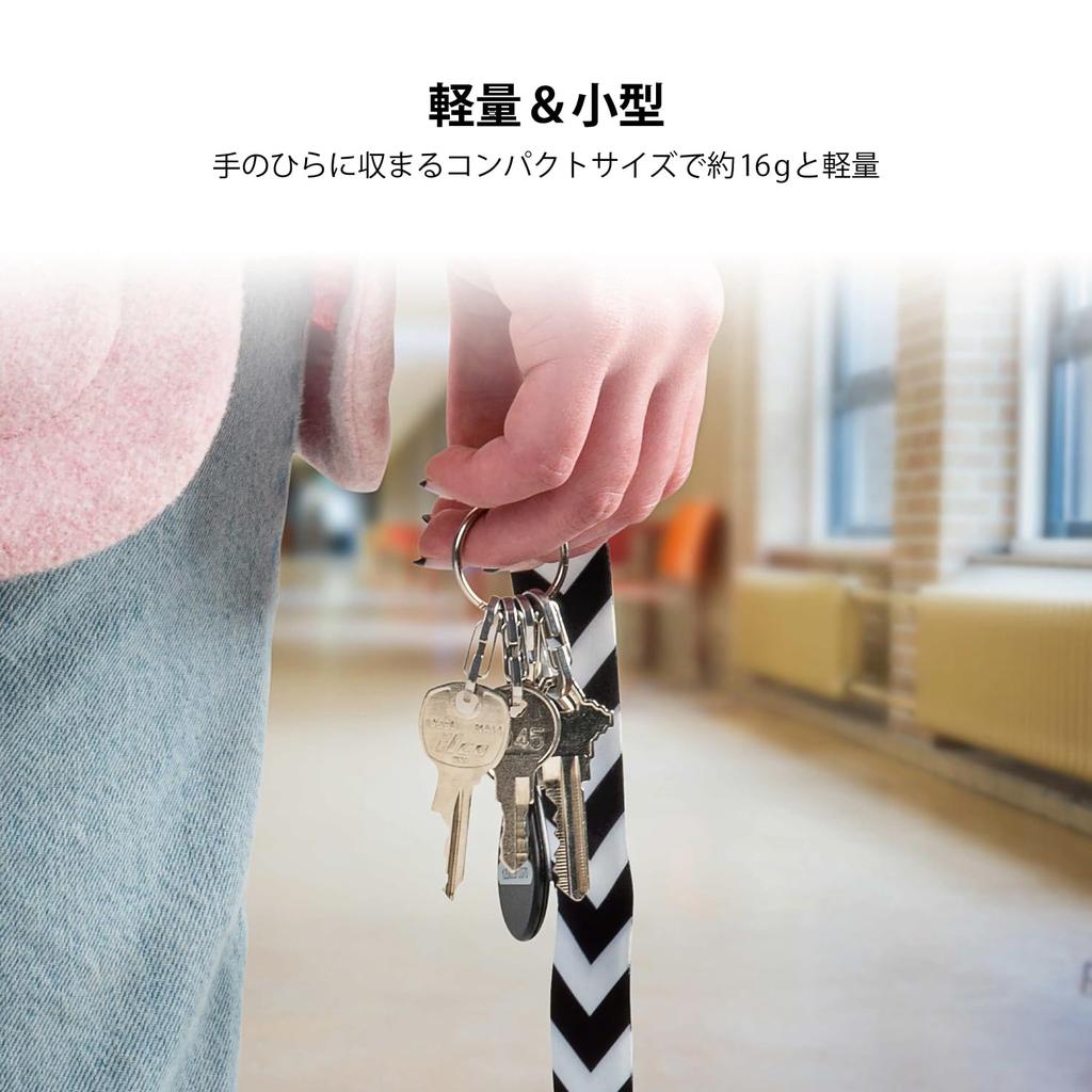 NITEIZE Key Ring Micro Link RL-11-R3