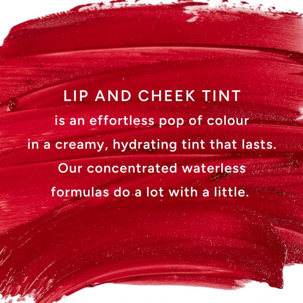 Lixr Beauty LixStick  Creamy Lip +cheek Tint Stick 0.18 Oz 5.2 G Primrose Wine Berry
