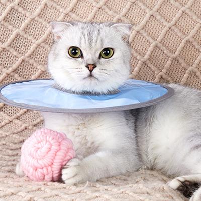 Gatti – Prodotti per la cura dei gatti