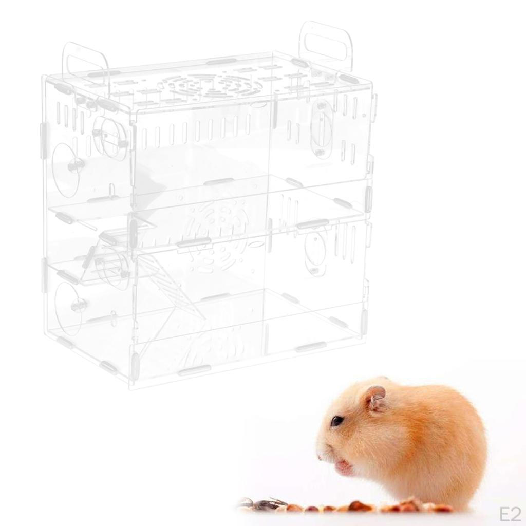 Reptile Terrarium Cage Tank Display Isopods Lizards Roach Invertebrates