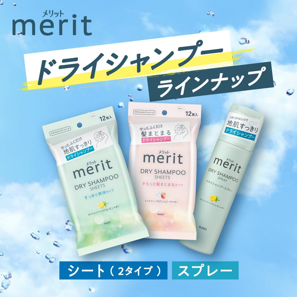 Merit Day Plus Dry Shampoo White 12 Sheets Sheets, Green,