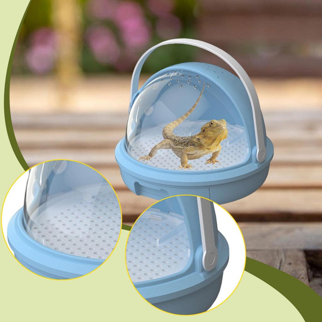 Reptile Feeding Box Habitat Gifts Spacious Multifunctional Easy to Clean with Handle Clear Tarantula Enclosure for Office