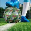 Rapid Wien FC Size 5 Standard Football Durable Training Match Soccer Ball for Adult Outdoor Sports