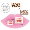 Canmake Lip Trick Liner H02 Natural Beige Highlight Lip Pencil Type 1.5mm Retractable Type