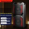 Newmine A2 Portable Bluetooth Karaoke Speaker