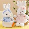 New Daisy Rabbit Doll Plush Toy Cute Bunny Rag Doll Gift for Girls
