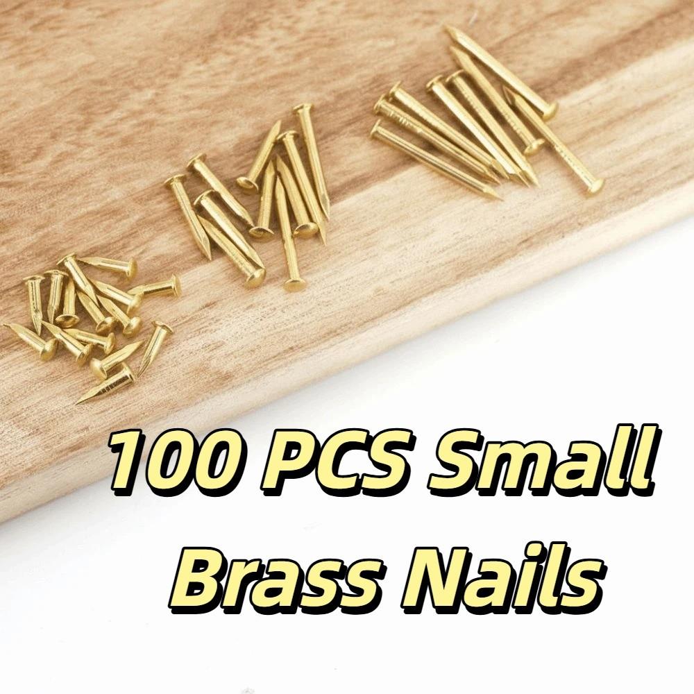 100 pcs Round Head Brass Nails Pure Brass Decorative Pins Small Brass Nails Models Crafts