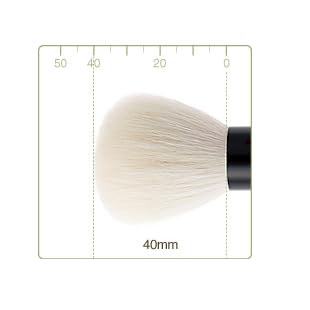 Chikuhodo Kumano Pinsel Gesichtsreinigungsbürste FA-5 (Schwarz)