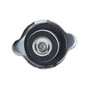 Car Radiator Overflow Tank Cap 21430-1P111 For Nissan Xterra Frontier Pathfinder