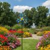 Colorful Flower Pinwheel Gradient Color Wind Artistic Design
